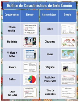 Preview of Informational Text Features in English and in Spanish!