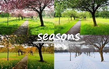 Preview of Informational Text - Learning Seasons (L)