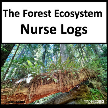 Preview of Summer Reading Passages Nurse Log and Forest Ecosystem Informational Text