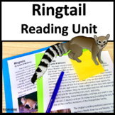Summer Reading Passages Animal Adaptations Informational T