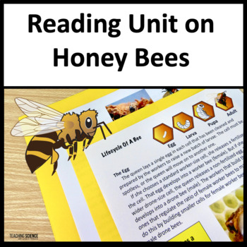 https://ecdn.teacherspayteachers.com/thumbitem/Informational-Text-Passages-on-Honey-Bees-Life-Cycle-of-Honey-Bees-Reading--3871382-1702555962/original-3871382-1.jpg