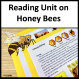 Summer Reading Passages Honey Bees Life Cycle and Informat