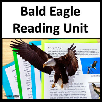 Preview of Summer Reading Passages The Bald Eagle Informational Text Passages
