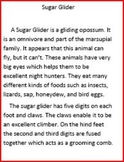 Informational Text: Sugar Glider (Comprehension Questions 