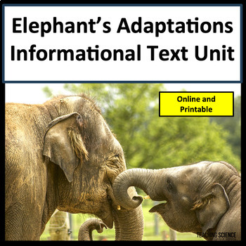 Preview of Summer Reading Passages Elephants Adaptations Informational Text Comprehension