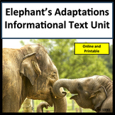 Summer Reading Passages Elephants Adaptations Informationa