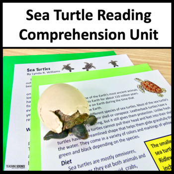 Preview of Summer Reading Passages Sea Turtles Life Cycle Science Animal Adaptations
