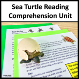 Summer Reading Passages Sea Turtles Life Cycle Science Ani