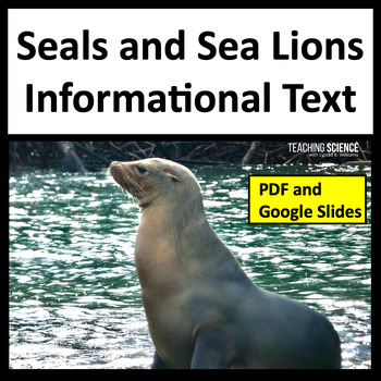 Preview of Summer Reading Passages Seals & Sea Lions Science Reading Animal Adaptations