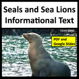 Summer Reading Passages Seals & Sea Lions Science Reading 