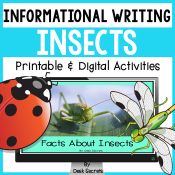 how to describe insects in creative writing