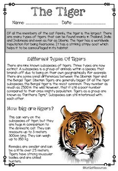 creative writing about a tiger