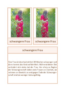Preview of Informationskartei: Fötus im Uterus, Deutsch, Montessori