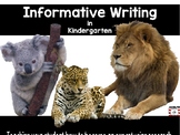 Informative Writing Animal Reports