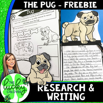 Informative Writing | Animal Research Project Template | FREEBIE