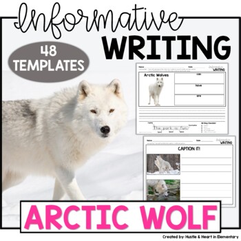 Informative Writing | Arctic Wolves by Hustle and Heart in Elementary