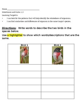 Preview of Inheritance Bird Comparison