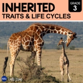 Inheritance, Inherited Traits, Variation of Traits, Life C