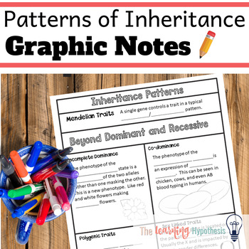 Preview of Inheritance Patterns Graphic Notes.  Digital & Print.  Distance Learning
