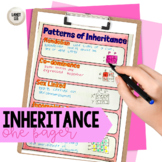 Inheritance Patterns One Pager
