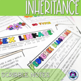 Inheritance Scribble Notes 