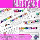 Inheritance and Genetics Scribble Notes Bundle
