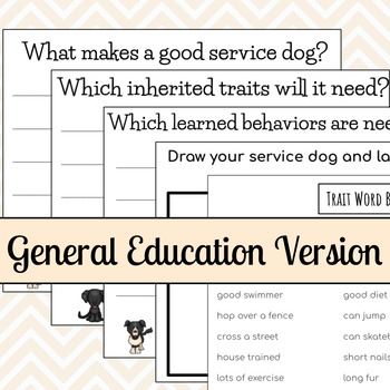 what traits make a good therapy dog