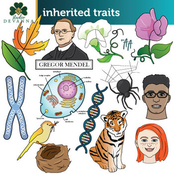 Preview of Inherited Traits Clip Art