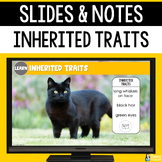 Inherited Traits Slides & Notes | 4th Grade Physical Trait
