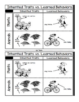 Preview of Inherited Traits vs. Learned Behaviors