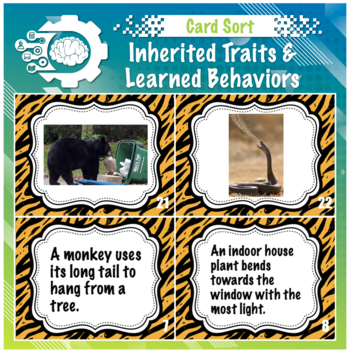 Preview of Card Sort: Inherited Traits vs Learned Behavior
