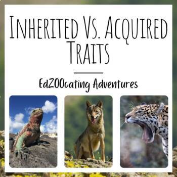 Preview of Inherited Vs. Acquired Traits | Lesson with Video, Readings, Quizzes, and More!