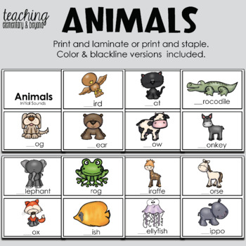 Animal Words Initial Sounds Book - Kindergarten Phonics | TPT