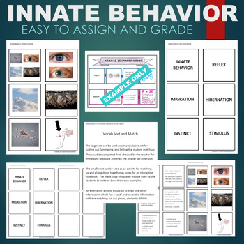 Innate Behavior in Animals (Instinct, Migration) Sort & Match STATIONS  Activity