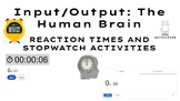 Input/Output: Human Brain Reaction Times and Stopwatch Activities