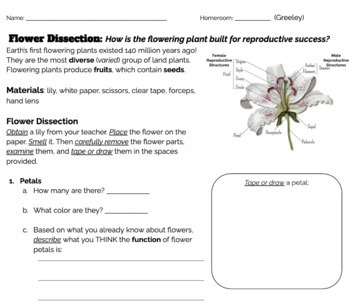 Preview of Inquiry Lab: Flower Dissection