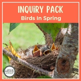 Inquiry Pack: Birds In Spring