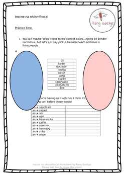 Preview of Inscne na nAinmfhocal - Irish Grammar Activities