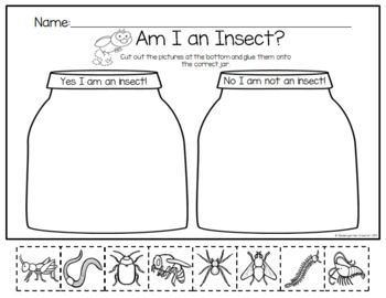 Insect Activities Bundle by The Kindergarten Creator | TpT
