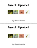 Insect student alphabet books