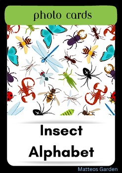 Preview of Insect Alphabet photo cards
