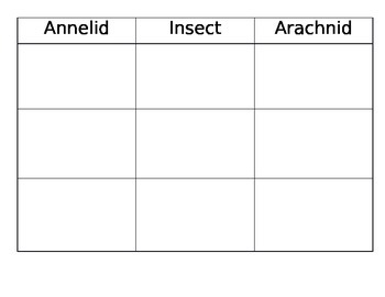 Preview of Insect, Annelid, Arachnid sorting chart and cards
