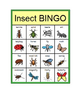Insect Bingo By Perry S Place Teachers Pay Teachers