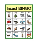 Insect Bingo