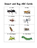 Insect & Bug ABC Cards