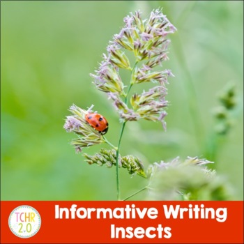 Preview of Informational Writing Insects