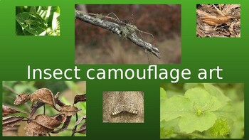 Preview of Insect Camouflage art - lesson slides