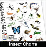 Insect Charts Interactive Notebooks ESL ELL Newcomer