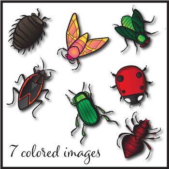 insect clip art black and white