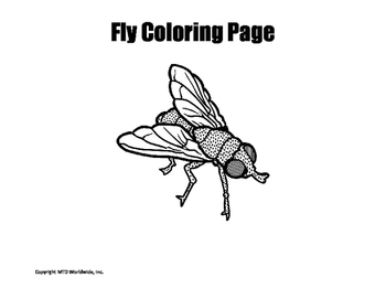 Insect Coloring Pages Bundle by Lesson Machine | TpT